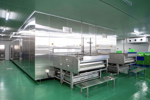 Thiết bị cấp đông IQF